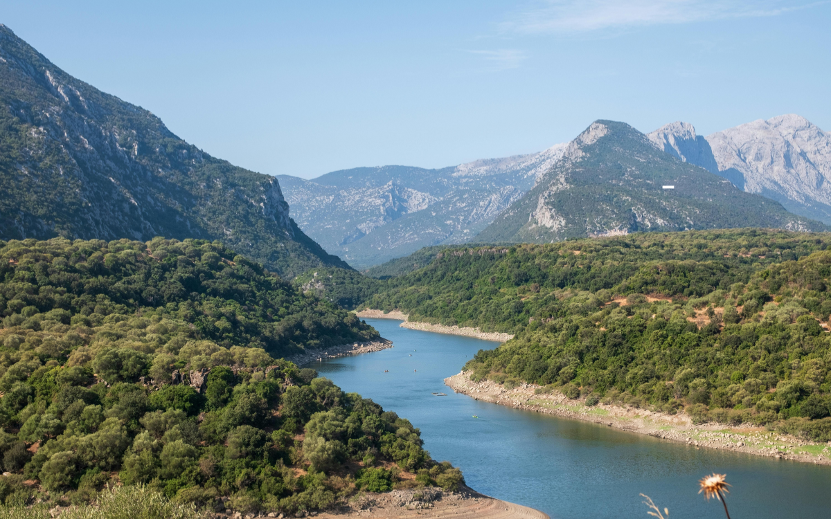 The Biggest Home Selling Mistakes Sellers Make in Spring in Salida, Colorado